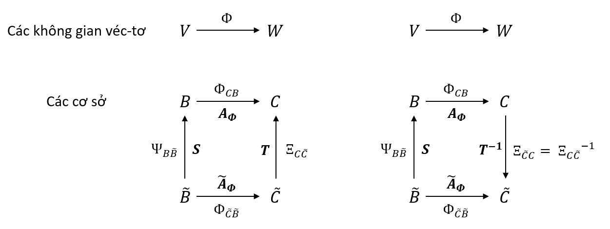 Basis Change